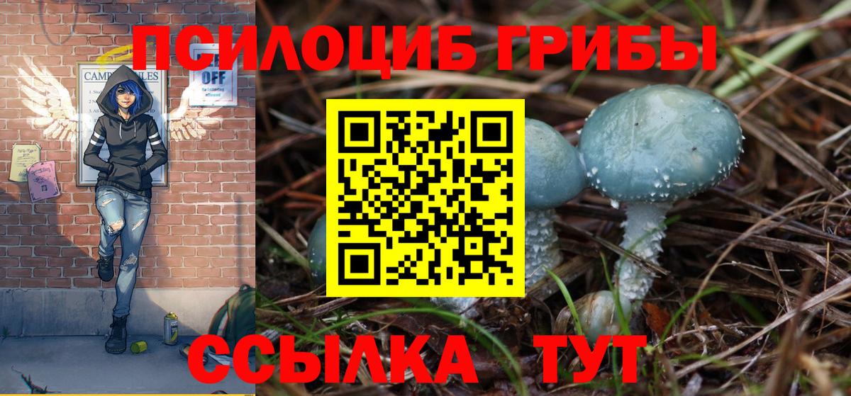 Джанкой  Галлюциногенные грибы GOLDEN TEACHER  Псилоцибиновые грибы MAGIC MUSHROOMS  Вход с VPN 